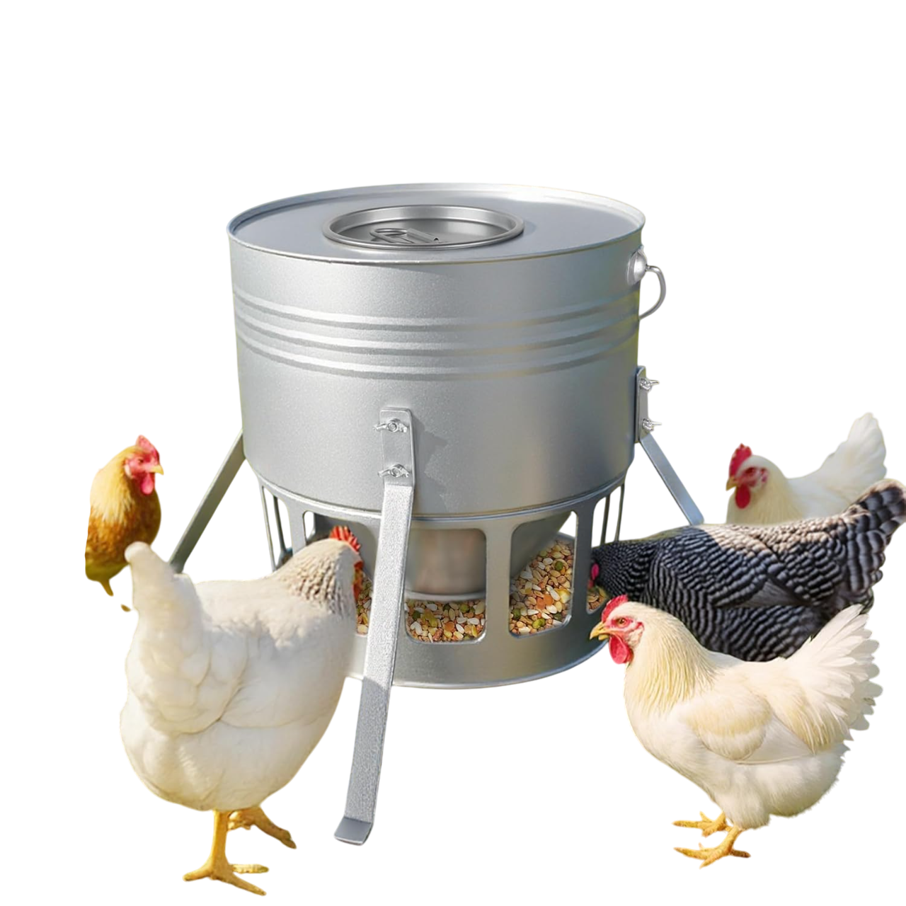 Metal Chicken Feeder - 20lbs