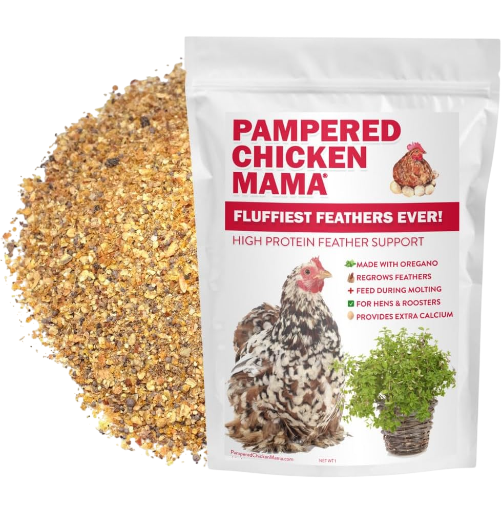 Backyard Chicken Molting Supplement